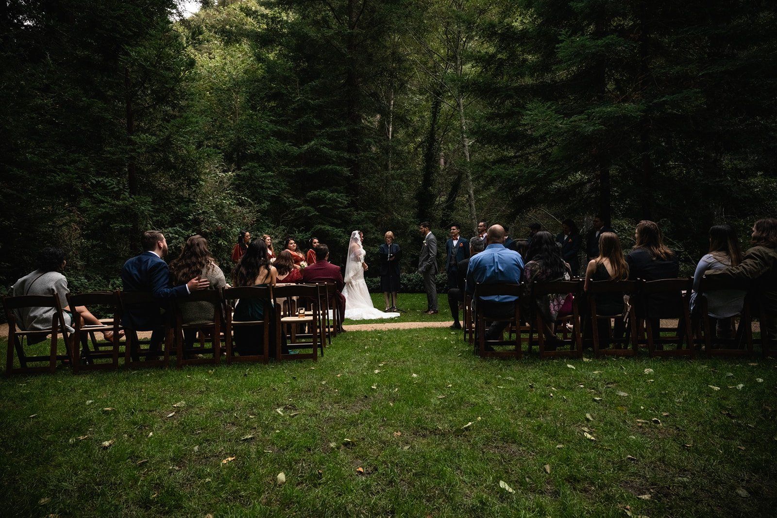 redwoods micro wedding at glen oaks big sur, A 27-Guest Redwood Ceremony in the Grove at Glen Oaks Big Sur