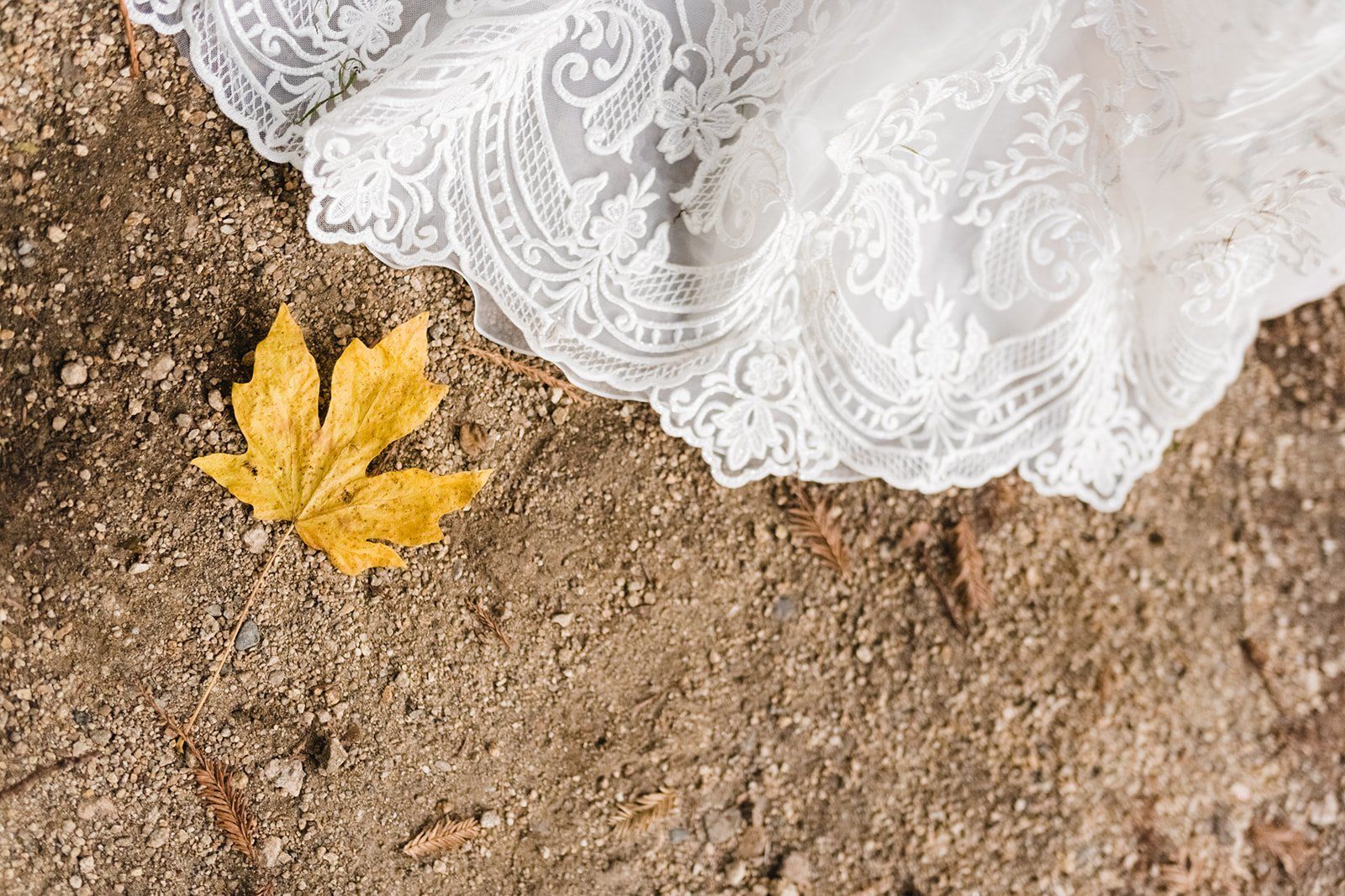 redwoods micro wedding at glen oaks big sur, A 27-Guest Redwood Ceremony in the Grove at Glen Oaks Big Sur