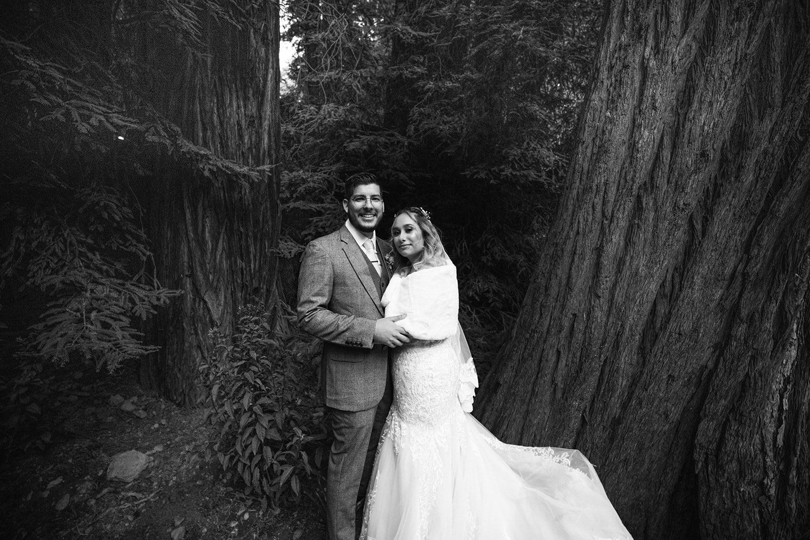 redwoods micro wedding at glen oaks big sur, Portraits in the Forest at a Big Sur Lodge
