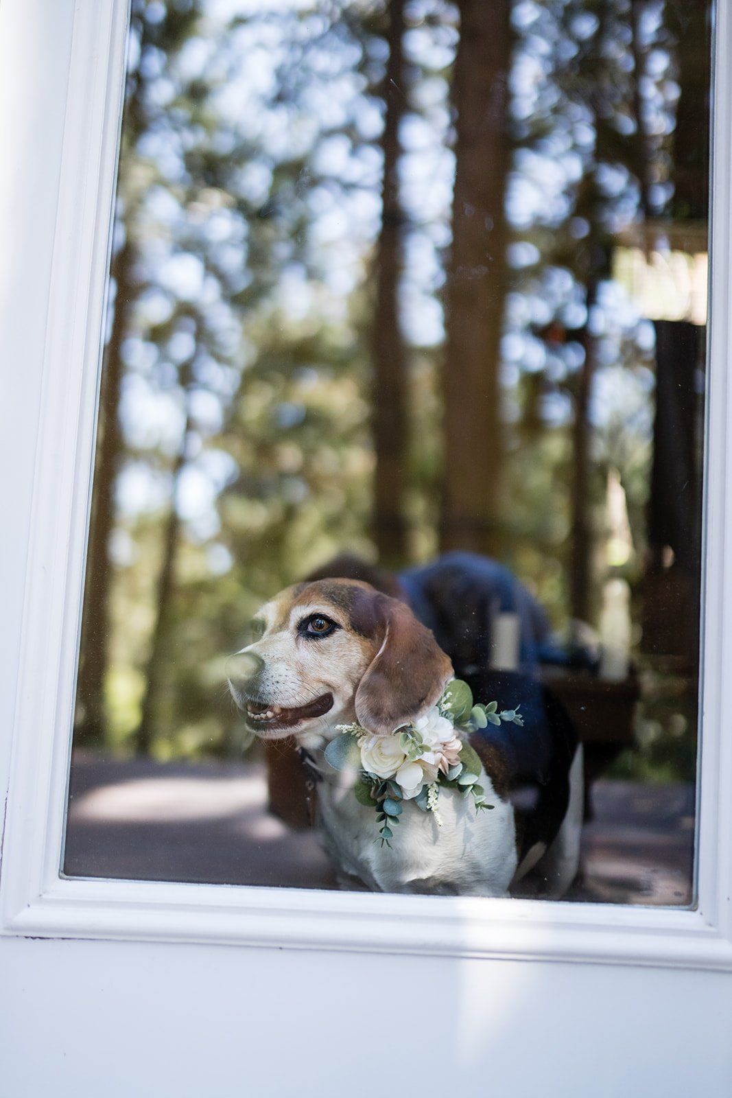mountain wedding at twenty mile house, Portraits Along the Feather River at Twenty Mile House