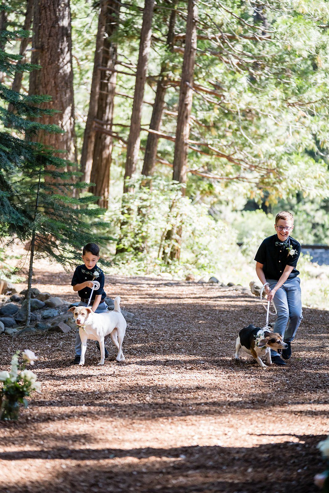 mountain wedding at twenty mile house, A Mountain Ceremony in the Sierra Nevada Pines