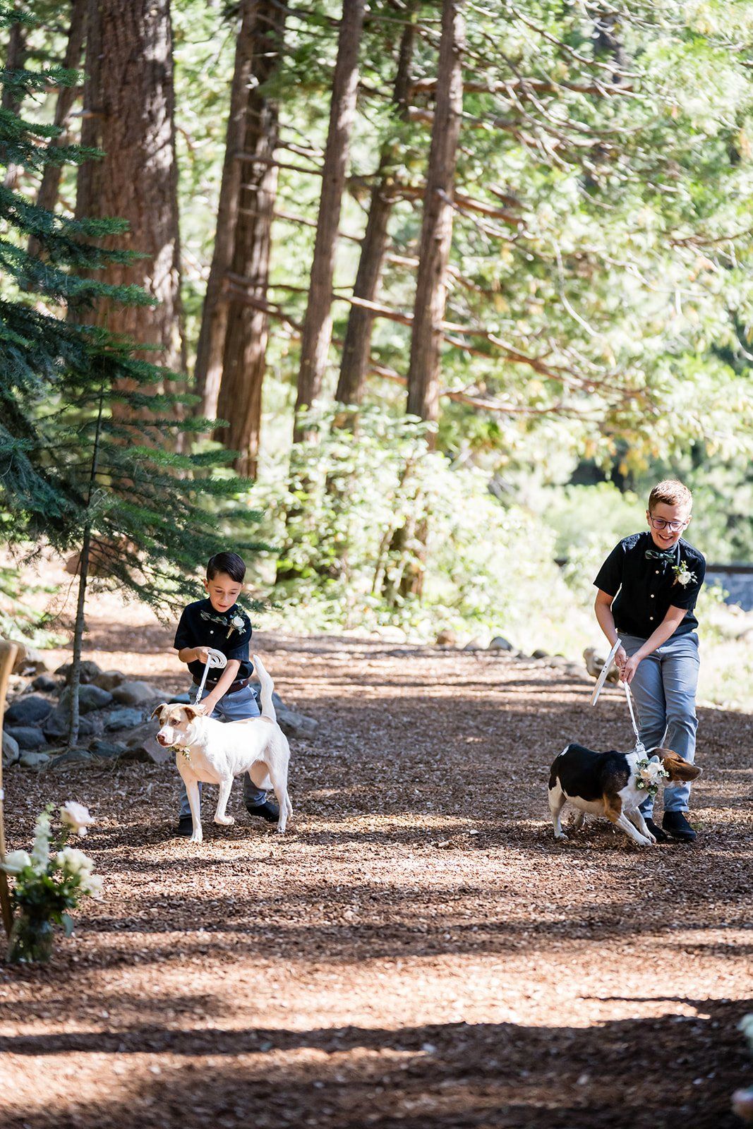 mountain wedding at twenty mile house, A Mountain Ceremony in the Sierra Nevada Pines