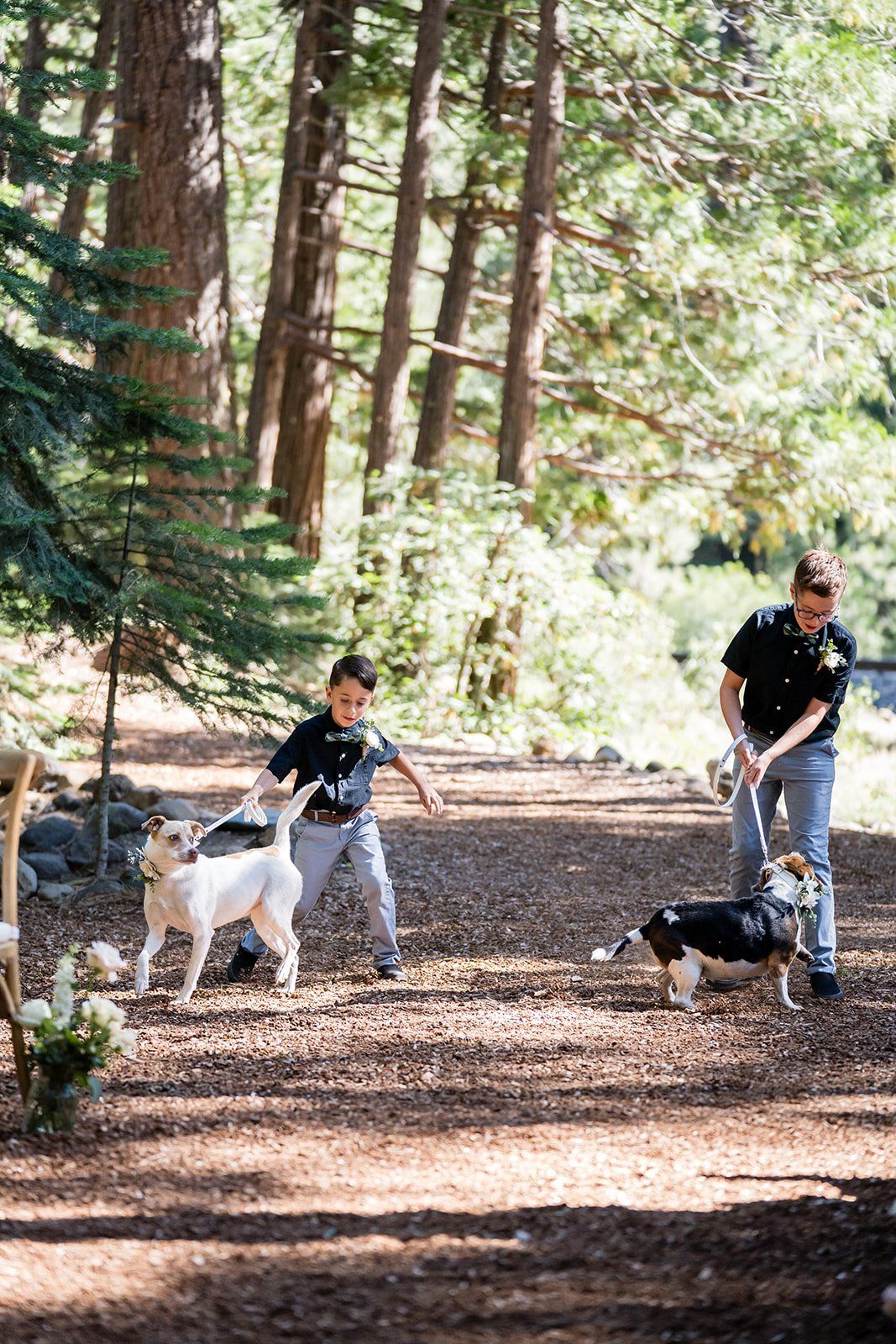mountain wedding at twenty mile house, A Mountain Ceremony in the Sierra Nevada Pines