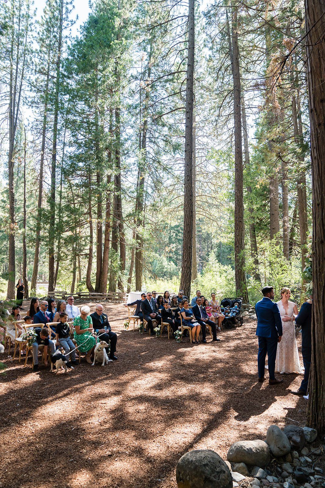 mountain wedding at twenty mile house, A Mountain Ceremony in the Sierra Nevada Pines