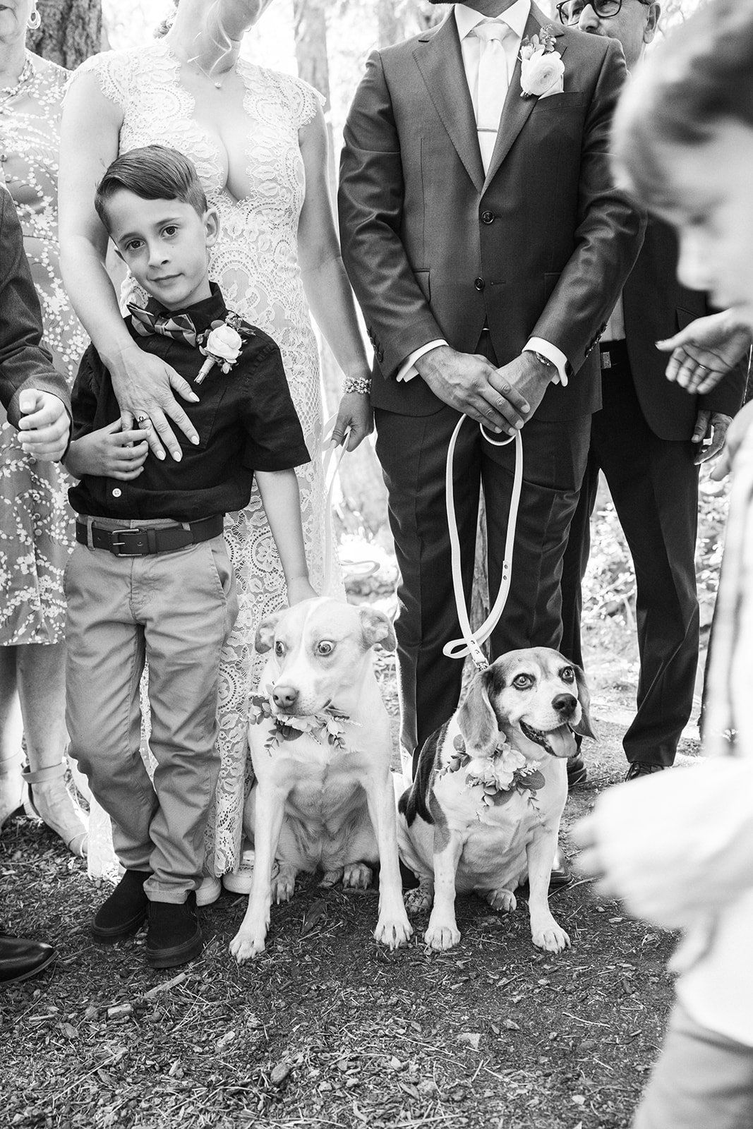 mountain wedding at twenty mile house, Portraits Along the Feather River at Twenty Mile House