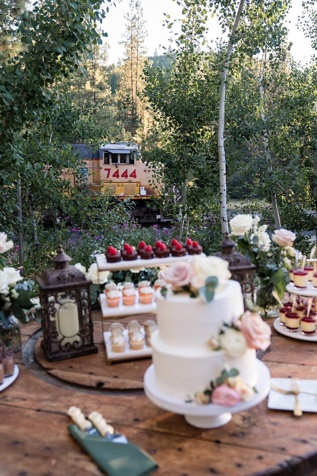 mountain wedding at twenty mile house, Dinner and Dancing on the Estate