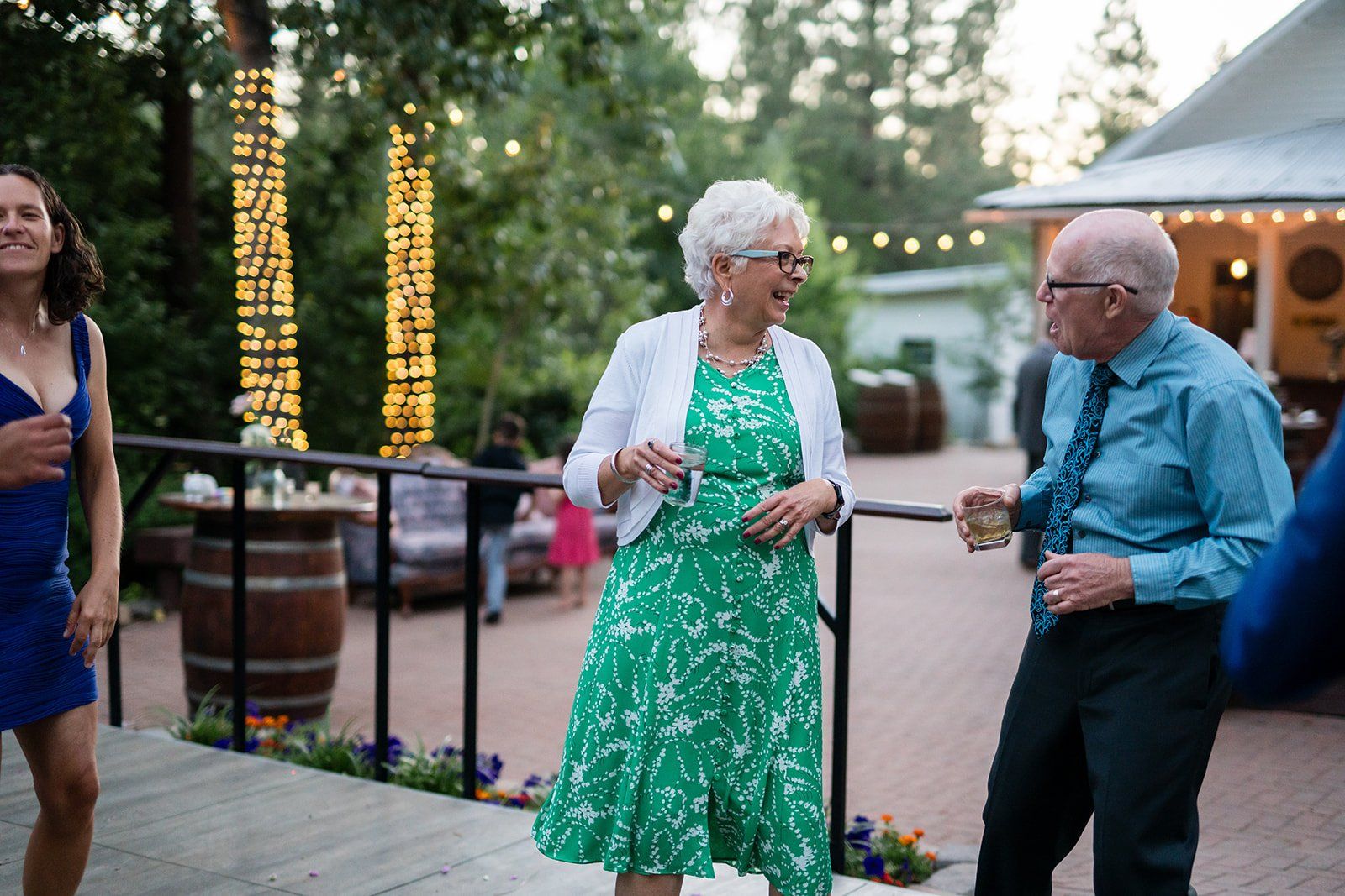mountain wedding at twenty mile house, Dinner and Dancing on the Estate