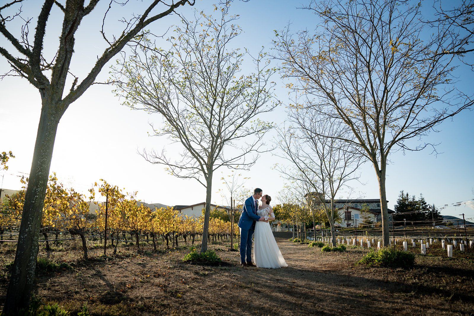 college-sweethearts vineyard elopement at jacuzzi family vineyards, Portraits Across the Vineyard Estate