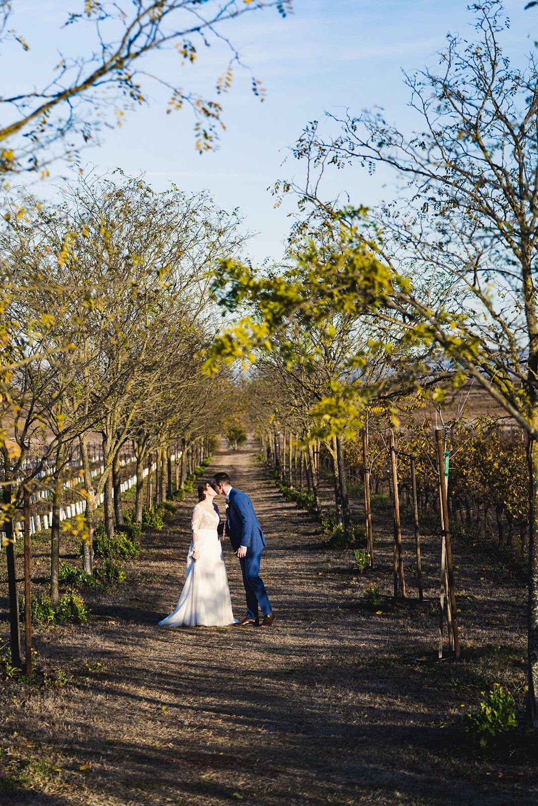 college-sweethearts vineyard elopement at jacuzzi family vineyards, Portraits Across the Vineyard Estate