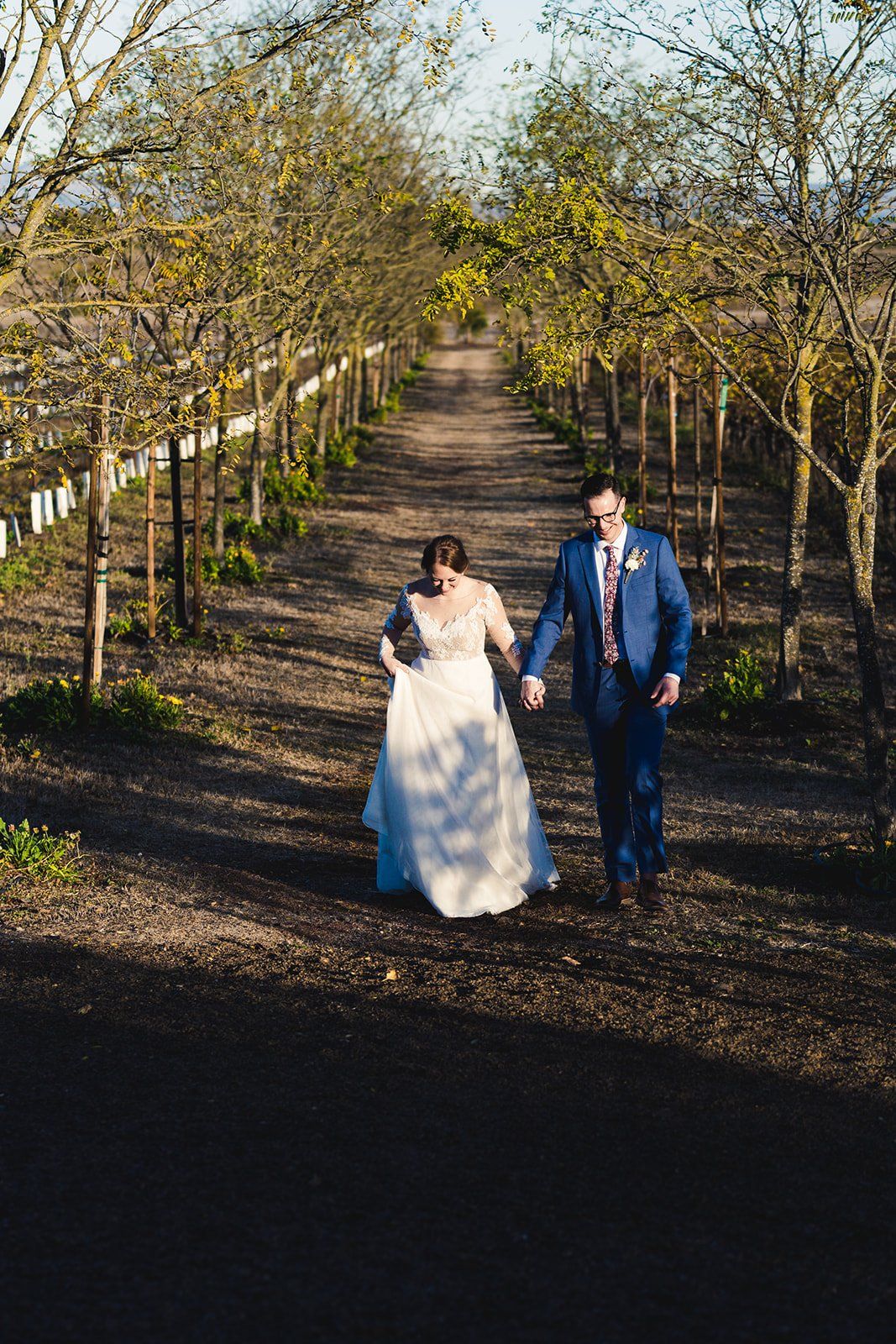 college-sweethearts vineyard elopement at jacuzzi family vineyards, Portraits Across the Vineyard Estate
