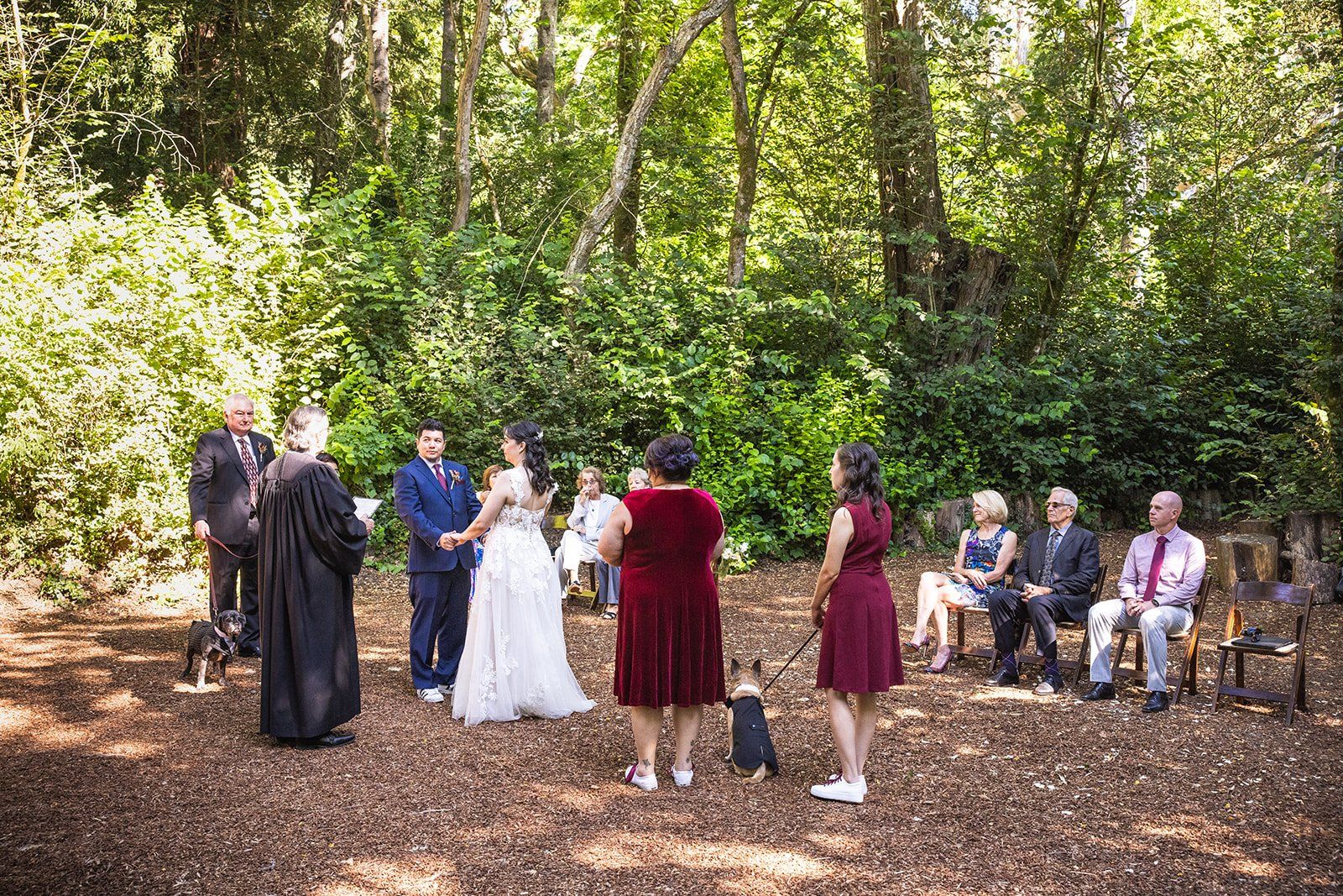 redwoods barn wedding at sand rock farm, Vows in the Redwood Grove