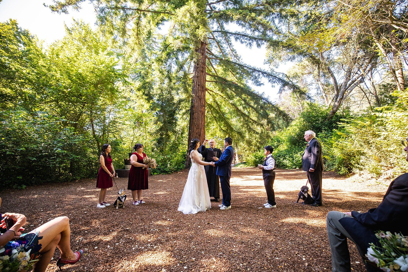 redwoods barn wedding at sand rock farm, Vows in the Redwood Grove