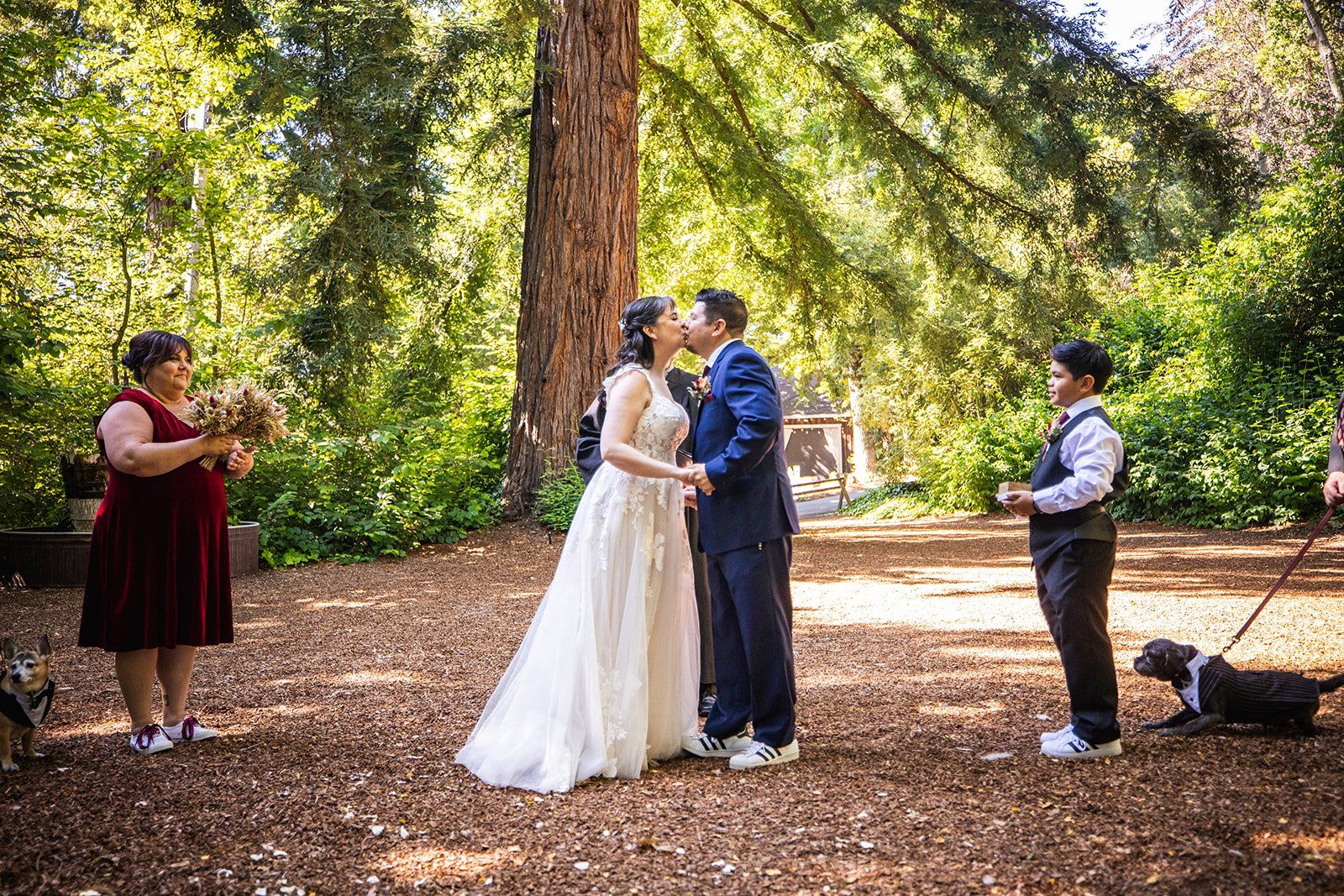 redwoods barn wedding at sand rock farm, Vows in the Redwood Grove