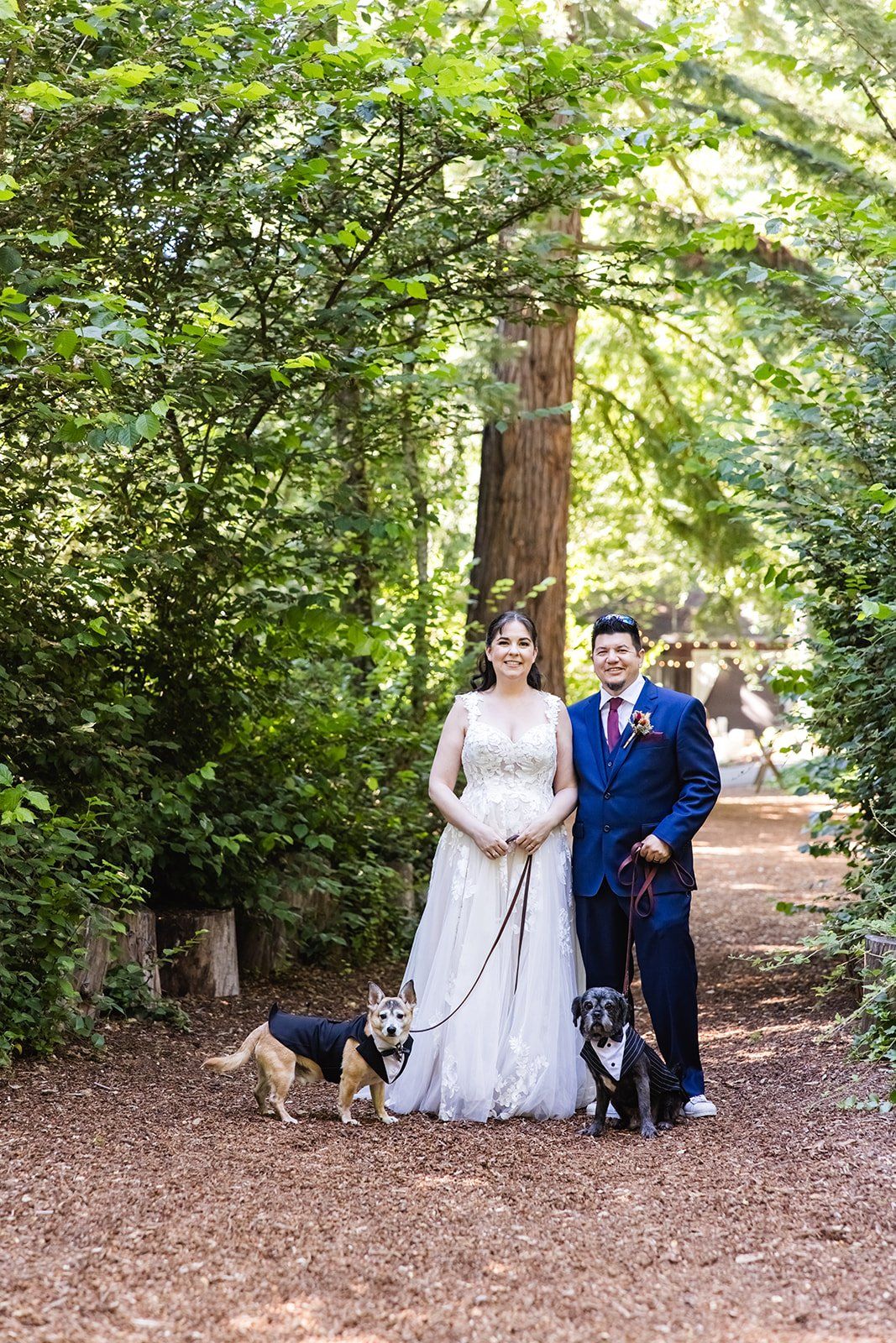 redwoods barn wedding at sand rock farm, Portraits Across the Sand Rock Farm Redwoods