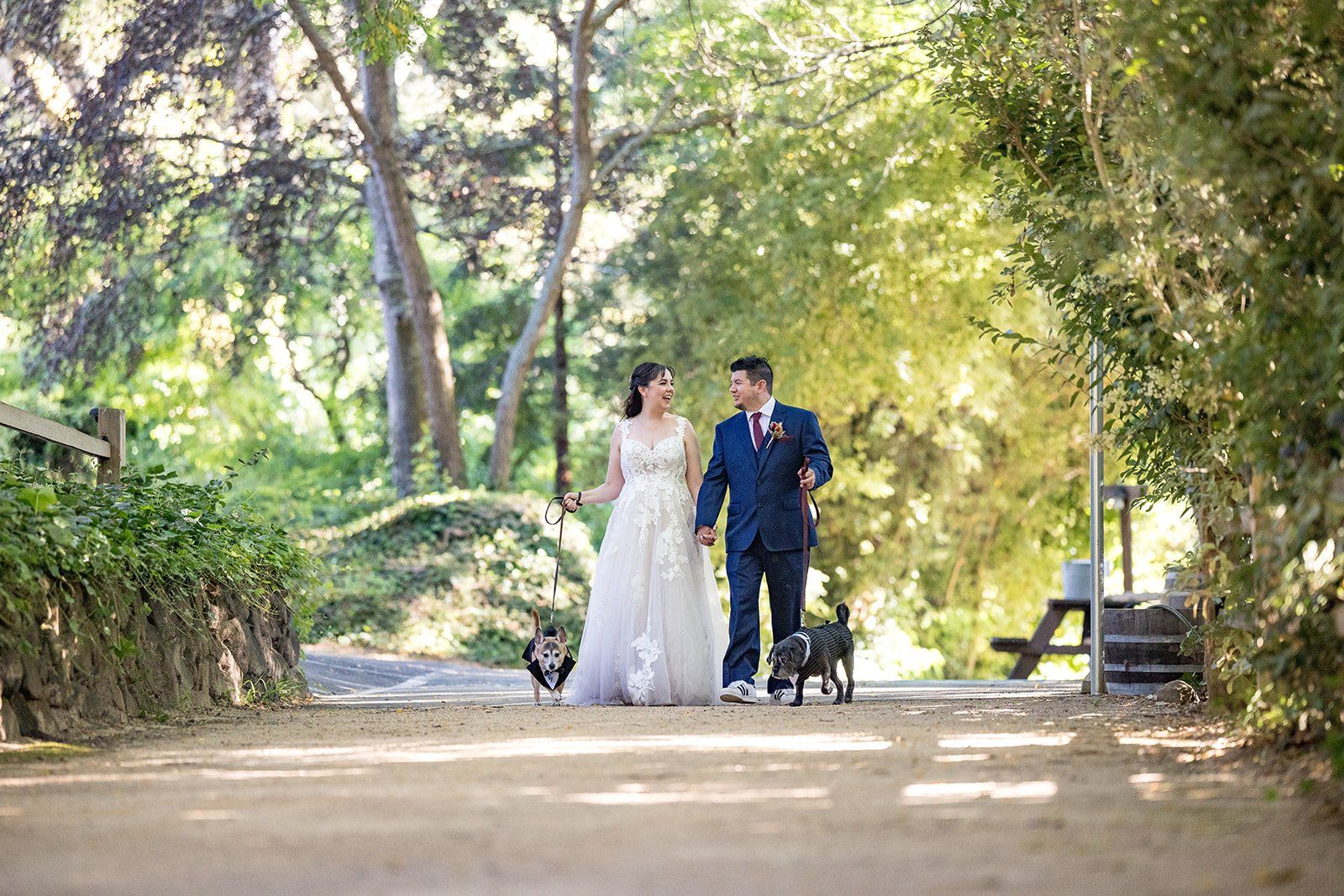 redwoods barn wedding at sand rock farm, Portraits Across the Sand Rock Farm Redwoods