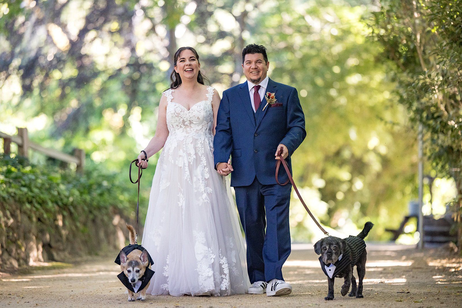 redwoods barn wedding at sand rock farm, Portraits Across the Sand Rock Farm Redwoods