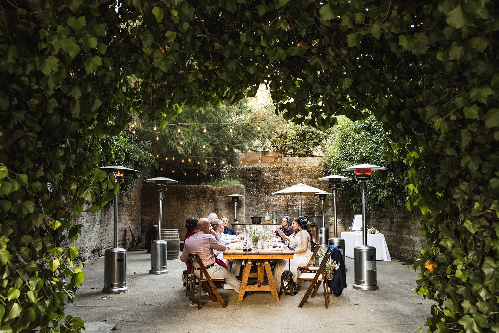 redwoods barn wedding at sand rock farm, Dinner Under the Ivy, Then the Barn
