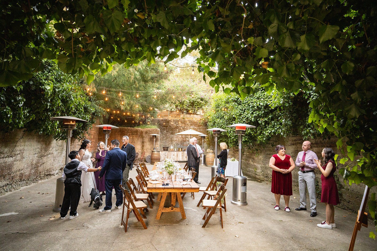 redwoods barn wedding at sand rock farm, Dinner Under the Ivy, Then the Barn