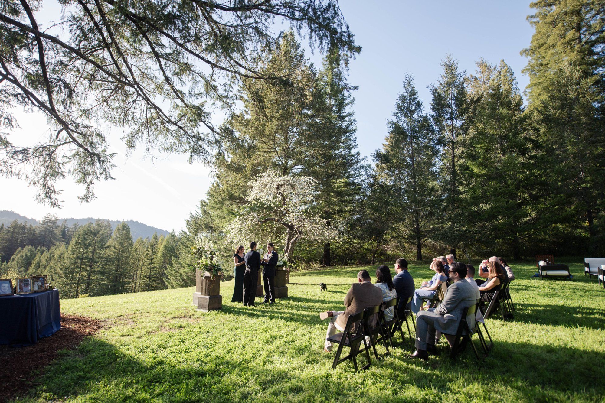 same-sex micro wedding in the russian river valley, Married Under the Redwoods, a Same-Sex Micro Wedding in the Russian River Valley