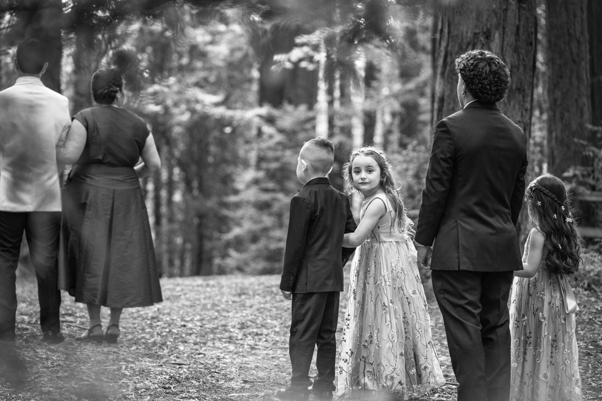redwoods park ceremony + sf waterfront steak dinner, Vows Under the Redwoods at Roberts Regional Park