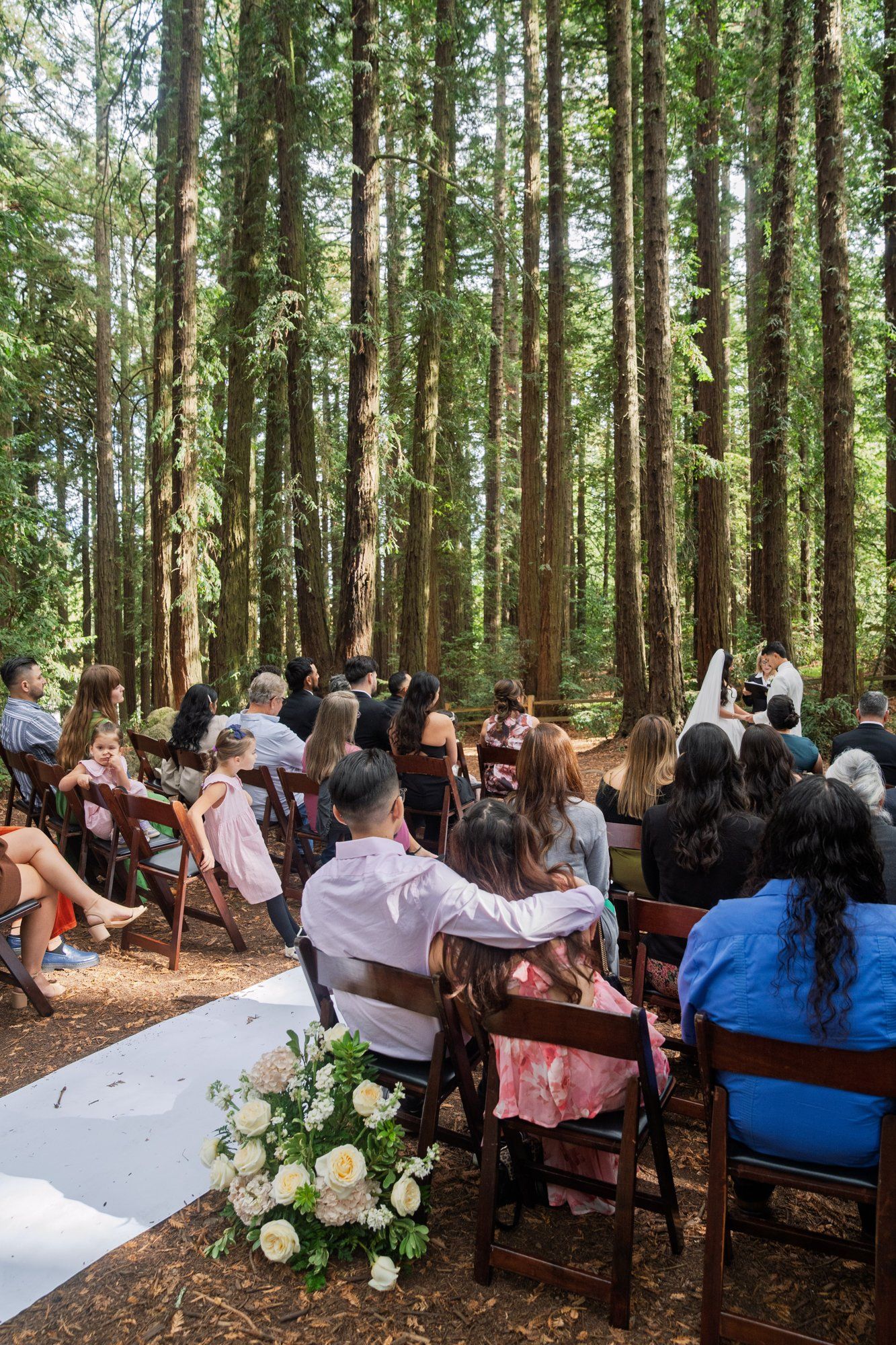 redwoods park ceremony + sf waterfront steak dinner, Vows Under the Redwoods at Roberts Regional Park