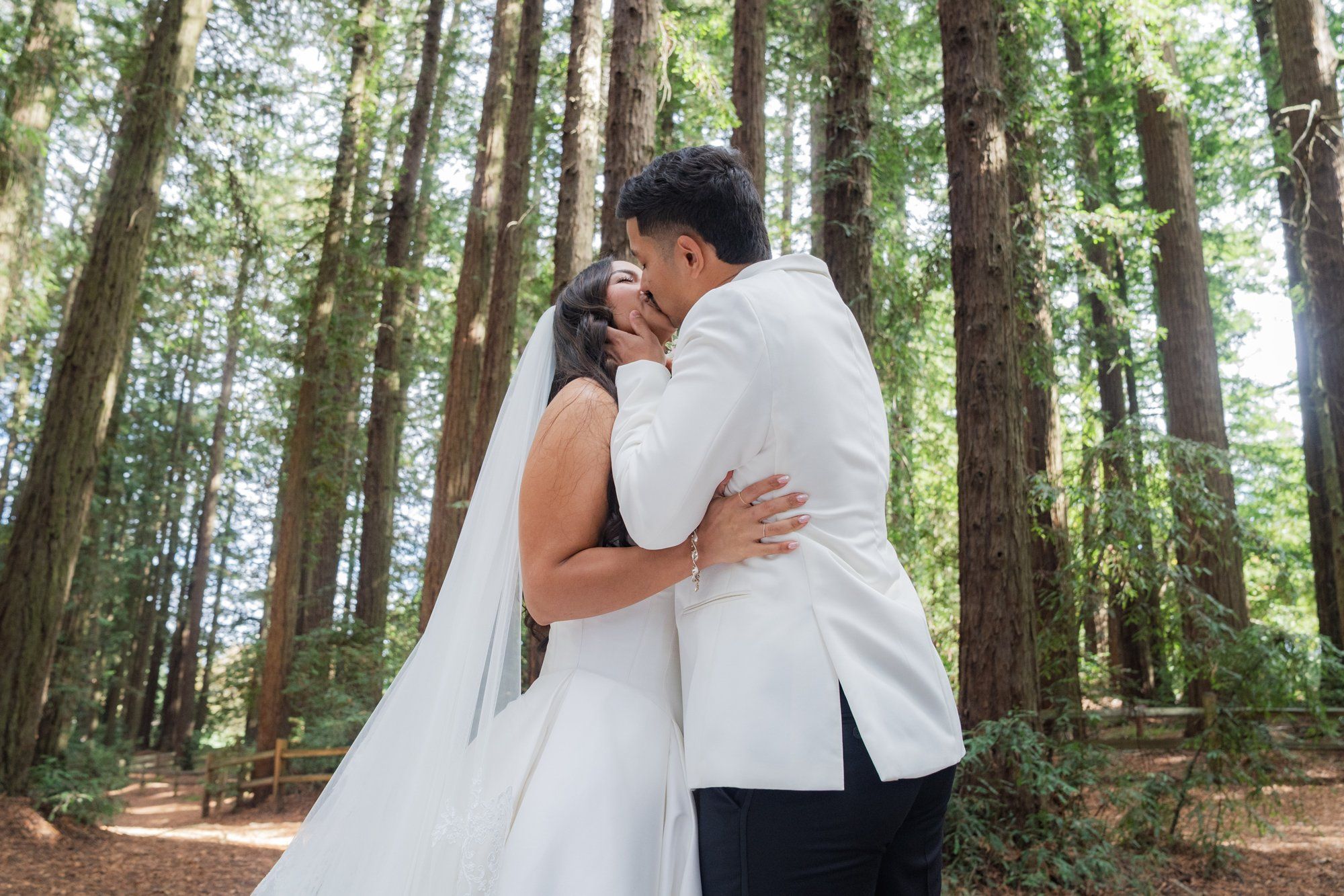 redwoods park ceremony + sf waterfront steak dinner, Portraits Among the Tall Trees