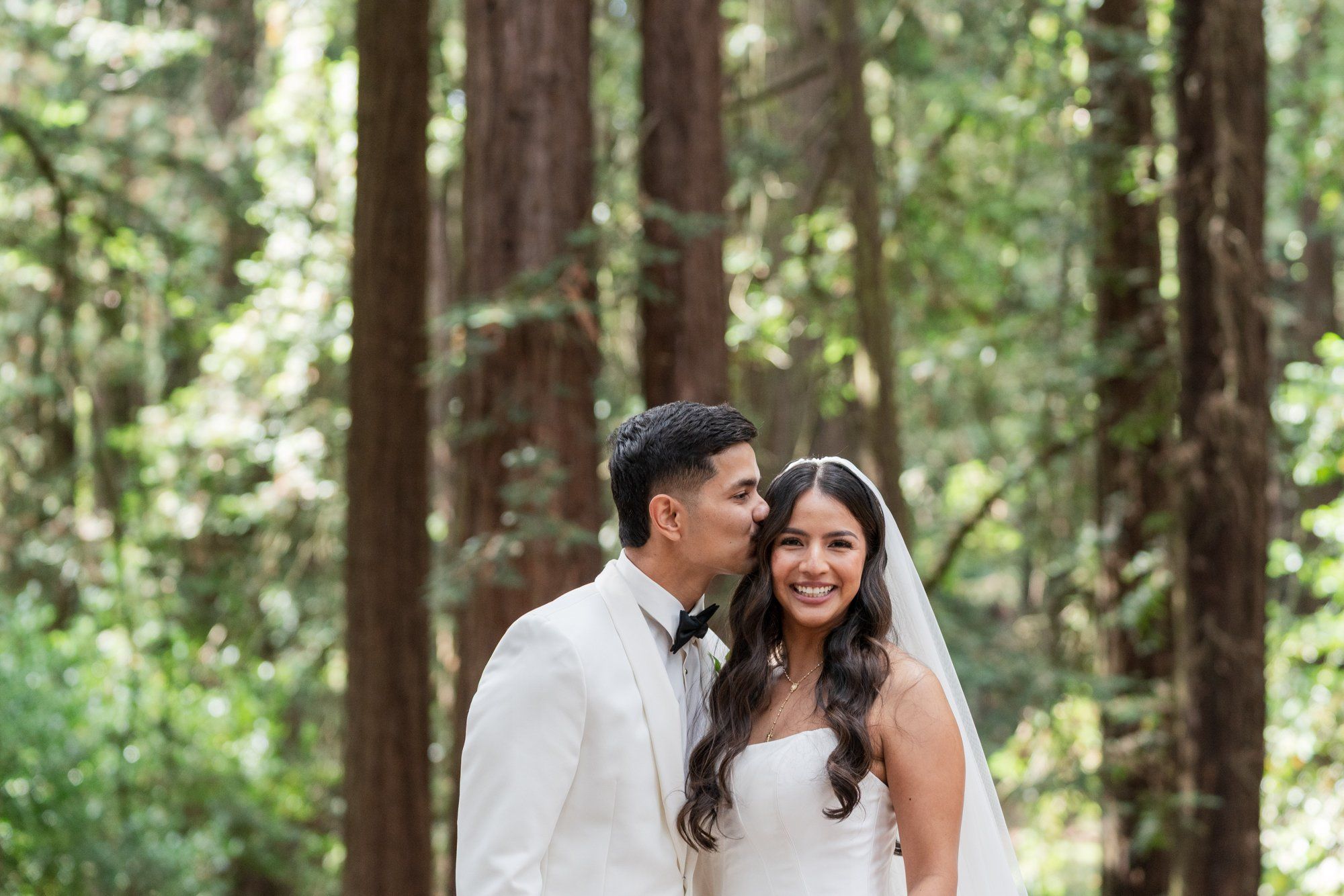 redwoods park ceremony + sf waterfront steak dinner, Portraits Among the Tall Trees