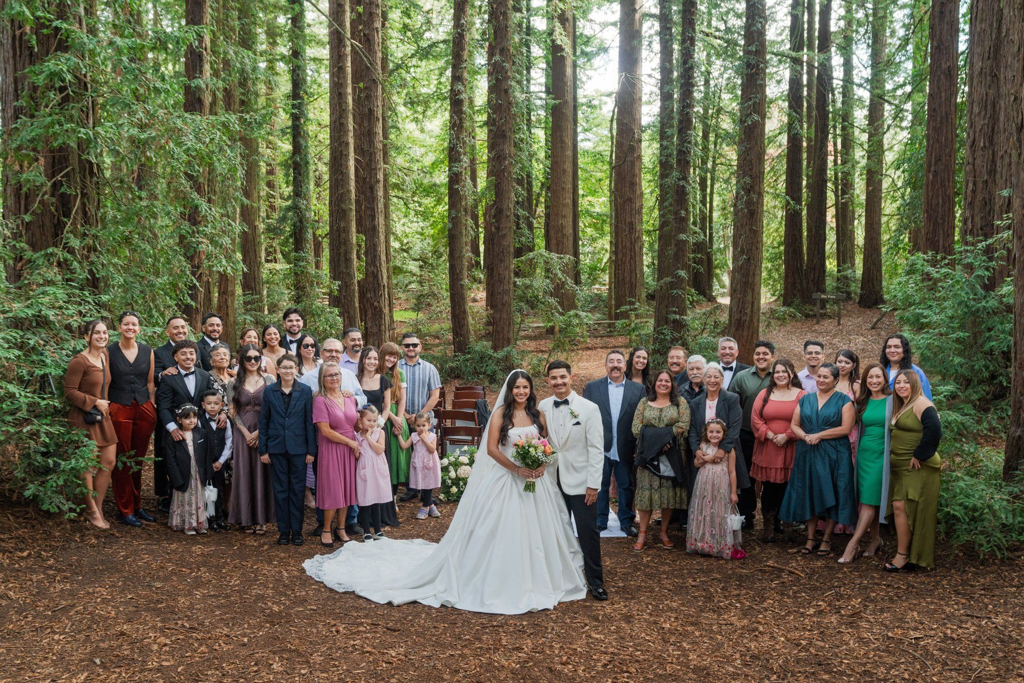 redwoods park ceremony + sf waterfront steak dinner, Portraits Among the Tall Trees