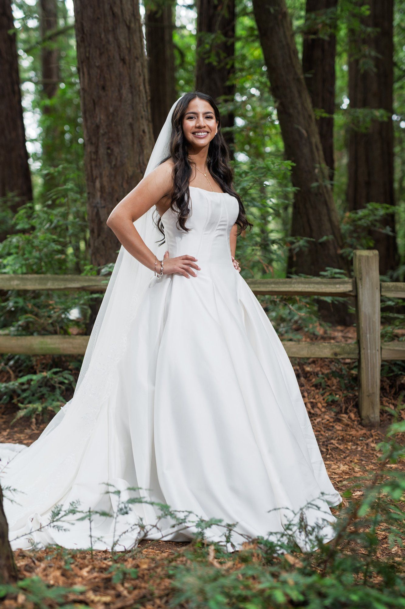 redwoods park ceremony + sf waterfront steak dinner, Portraits Among the Tall Trees