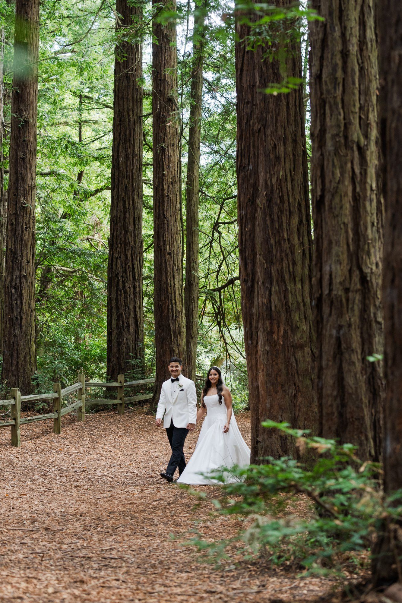 redwoods park ceremony + sf waterfront steak dinner, Portraits Among the Tall Trees