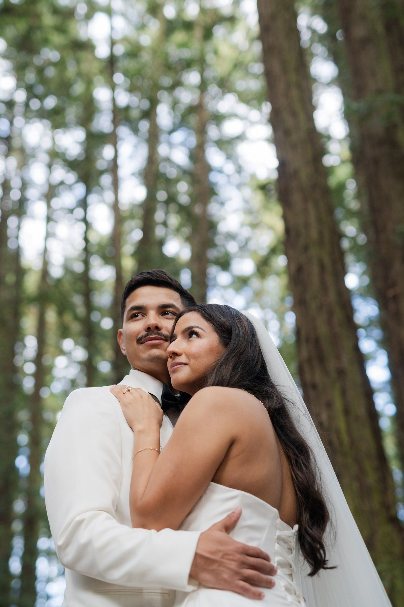 redwoods park ceremony and SF waterfront steak dinner, Portraits Among the Tall Trees