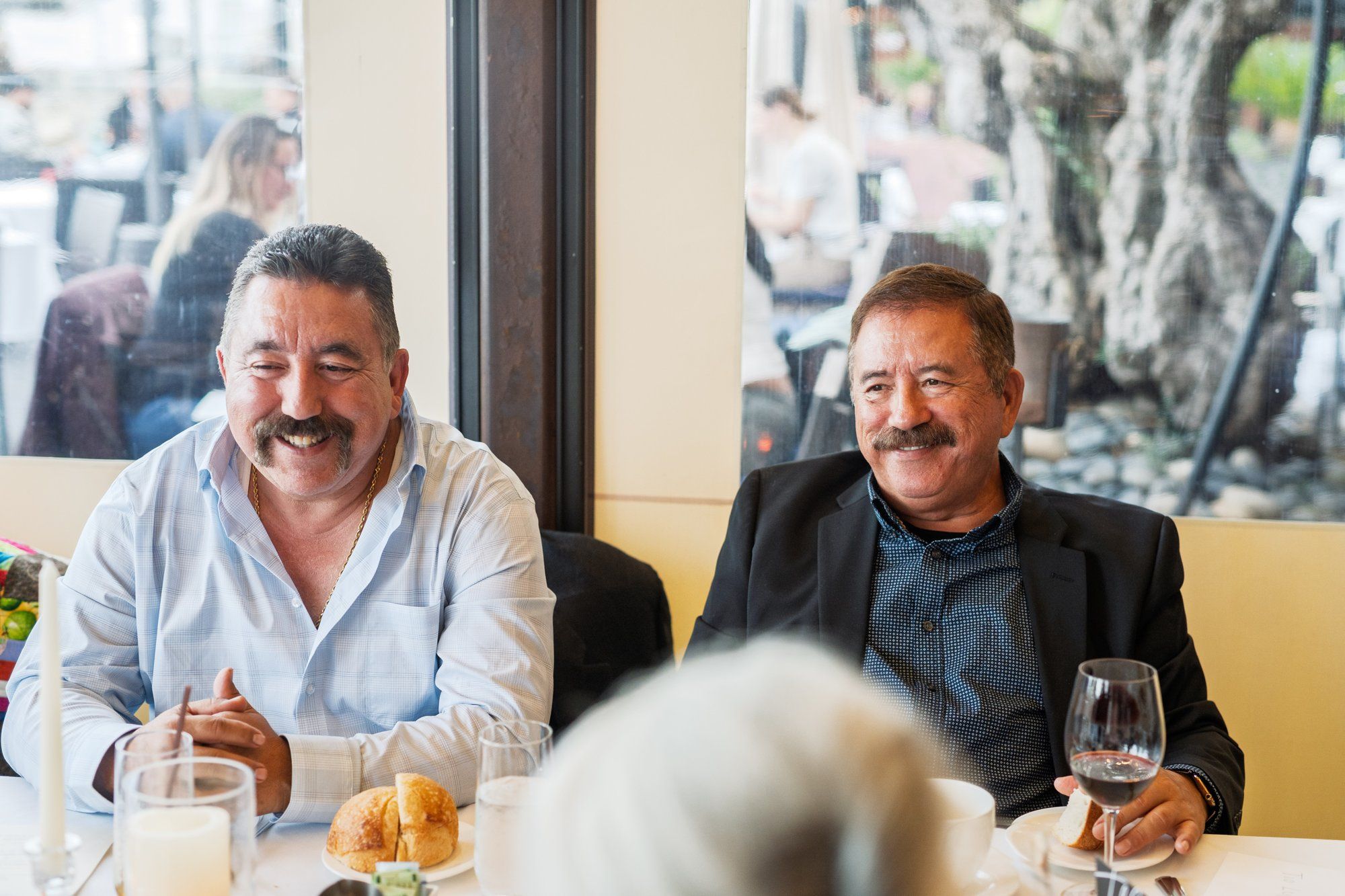 redwoods park ceremony + sf waterfront steak dinner, Portraits Among the Tall Trees