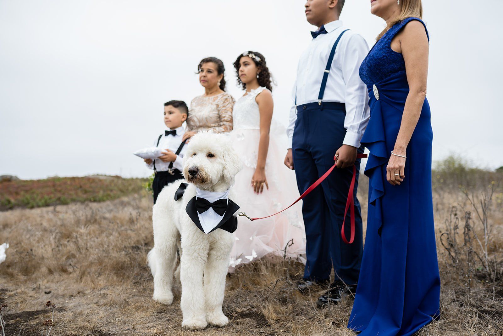 cliffside elopement at duncan's cove, bodega bay, The Ocean-Cliff Ceremony at Duncan's Cove