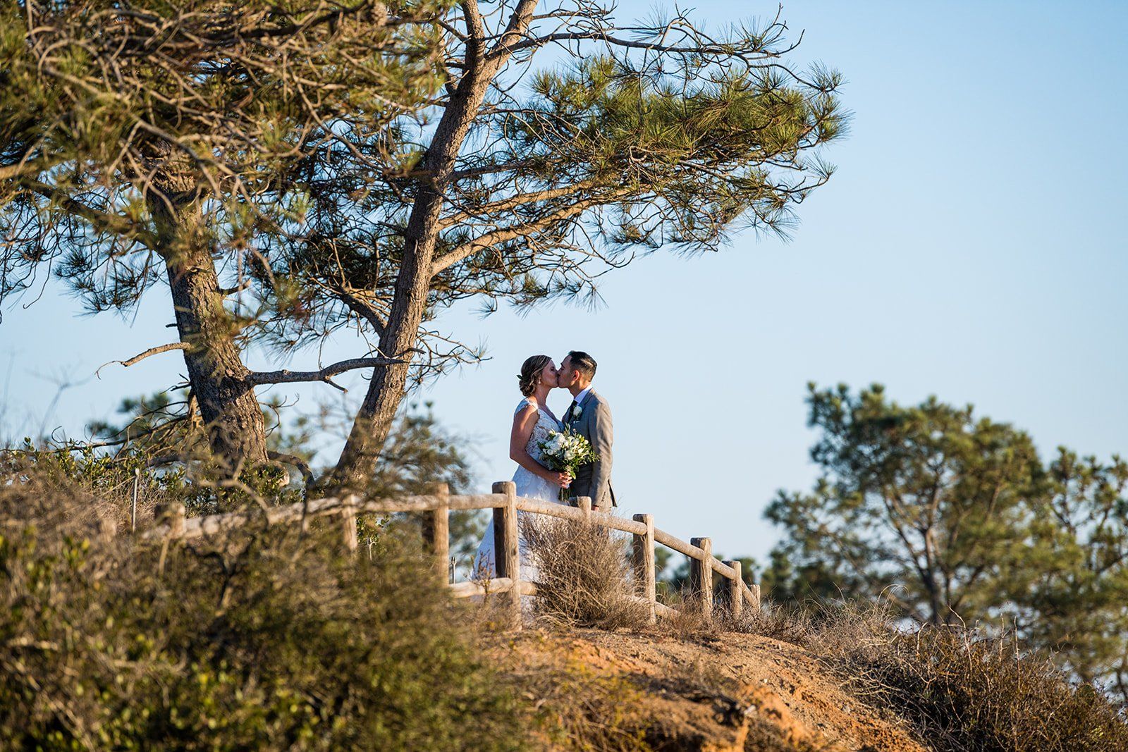 torrey pines reserve ceremony, la jolla, Portraits Across the Torrey Pines Reserve