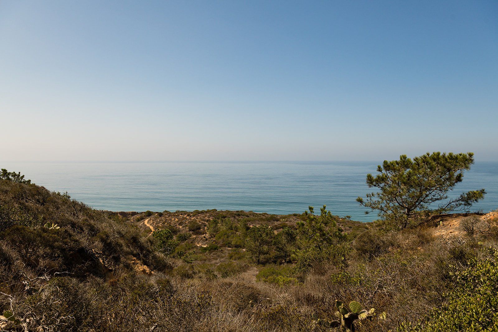torrey pines reserve ceremony in la jolla, A Torrey Pines Reserve Ceremony on the West Overlook