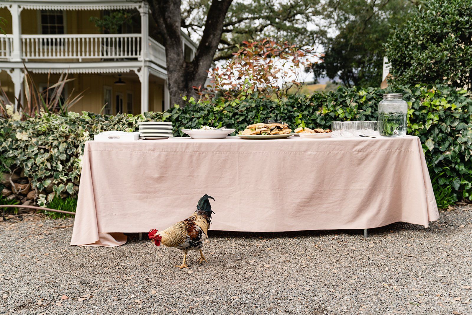 ranch micro wedding at beltane ranch sonoma, The Farm Table, the Toasts, and the Firepit at Beltane Ranch