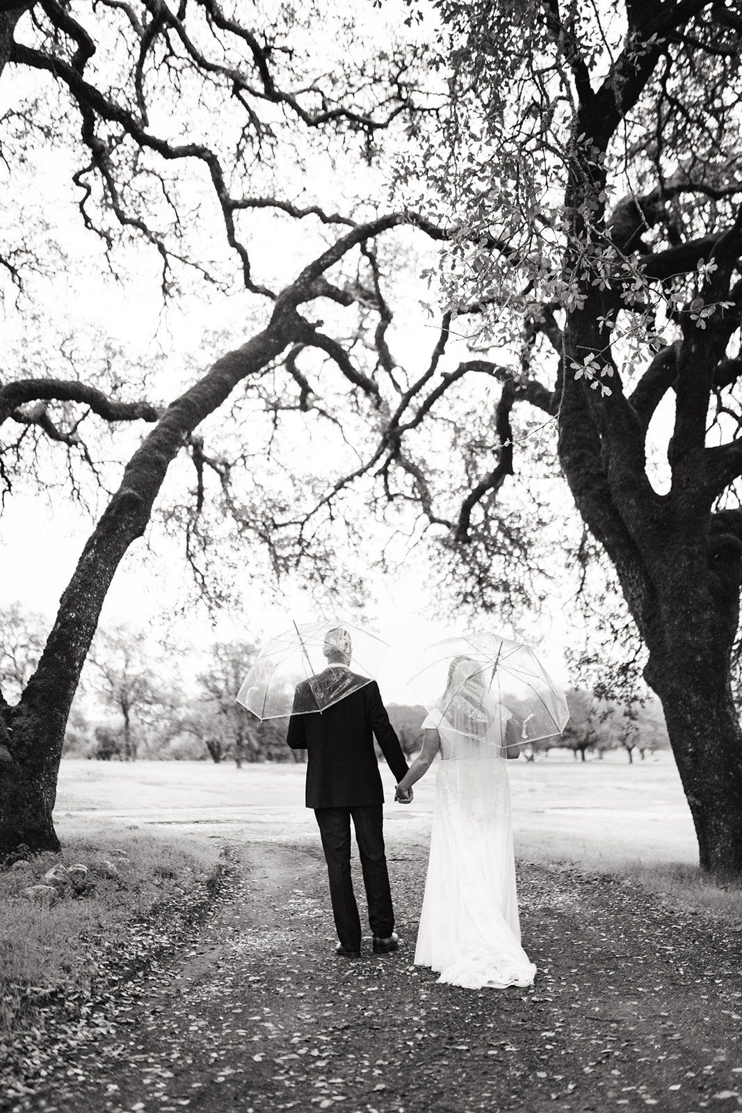 ranch micro wedding at beltane ranch sonoma, Portraits by the Old White Truck