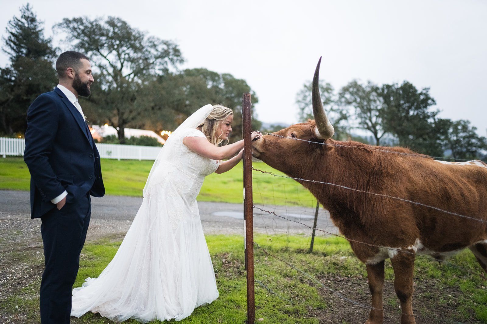 ranch micro wedding at beltane ranch, Portraits Across the Beltane Ranch