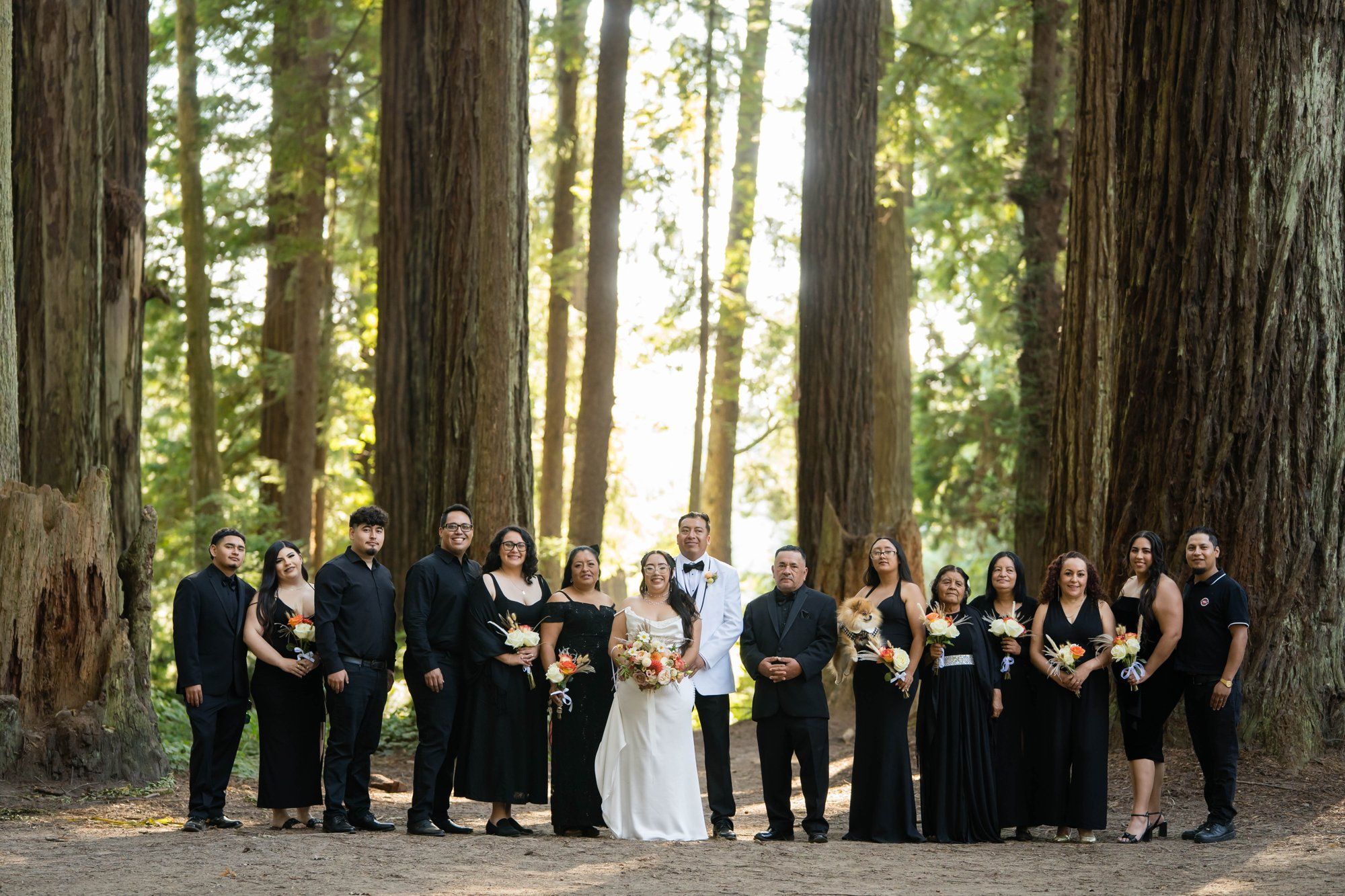 same-sex redwoods elopement at sequoia park zoo skywalk, Toasts, Dances, and an Owl