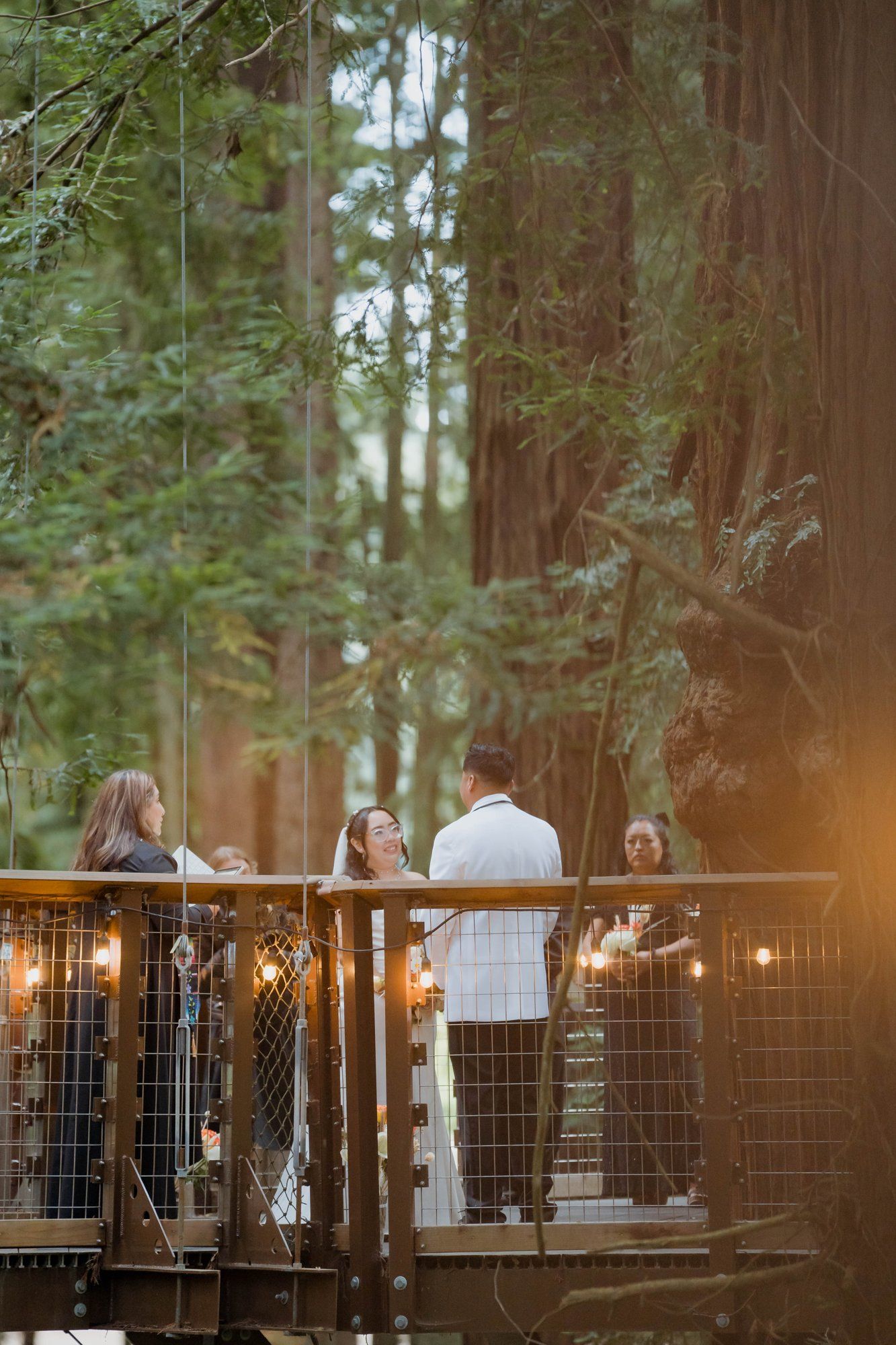 same-sex redwoods elopement at sequoia park zoo skywalk, A Humboldt Redwoods Elopement in the Canopy