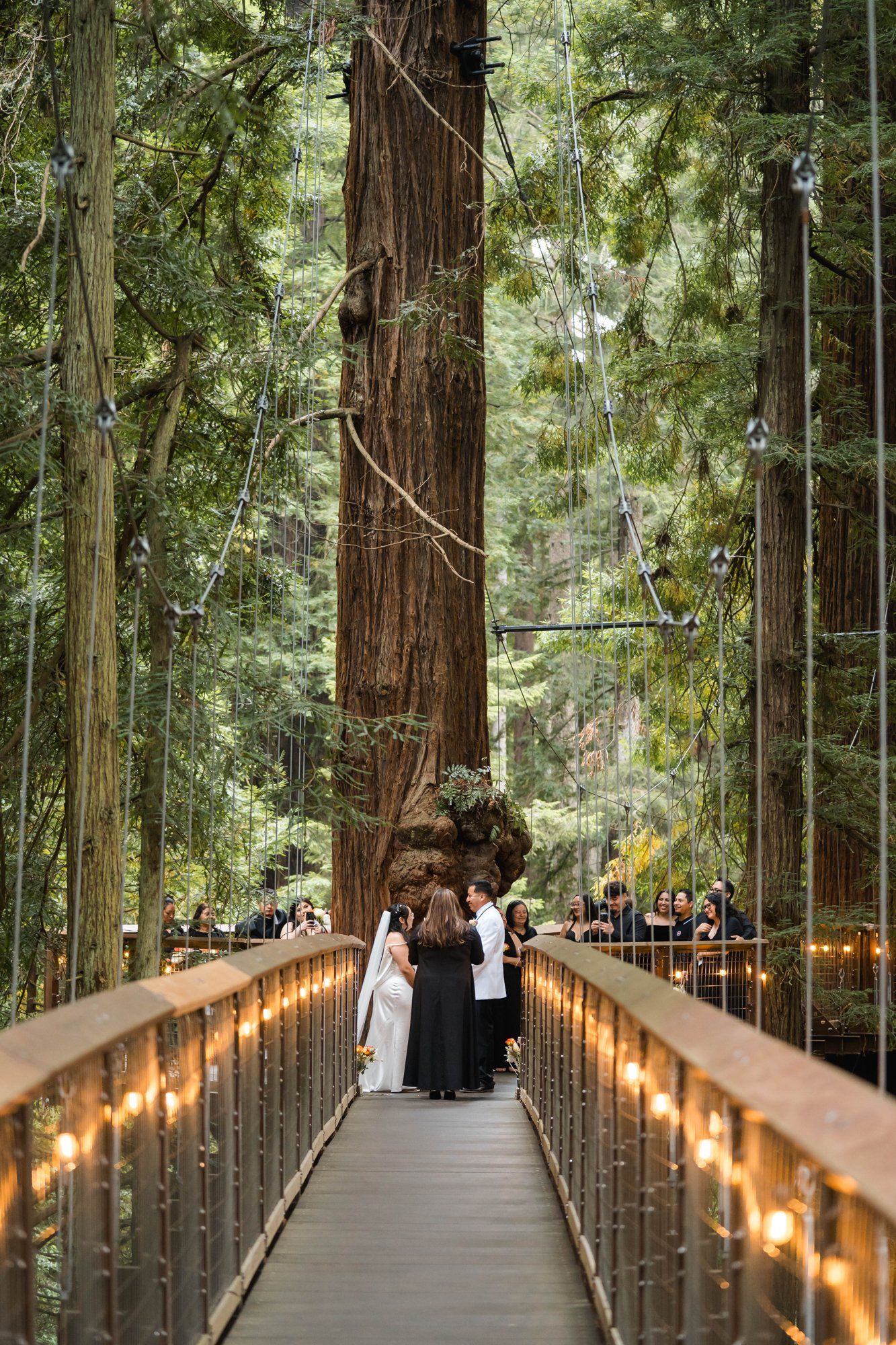 same-sex redwoods elopement at sequoia park zoo skywalk, A Humboldt Redwoods Elopement in the Canopy