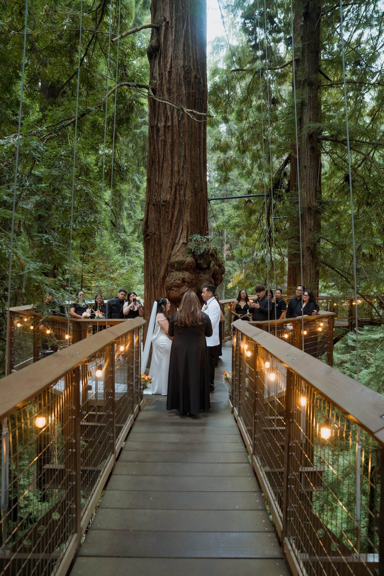 same-sex redwoods elopement at sequoia park zoo skywalk, A Humboldt Redwoods Elopement in the Canopy
