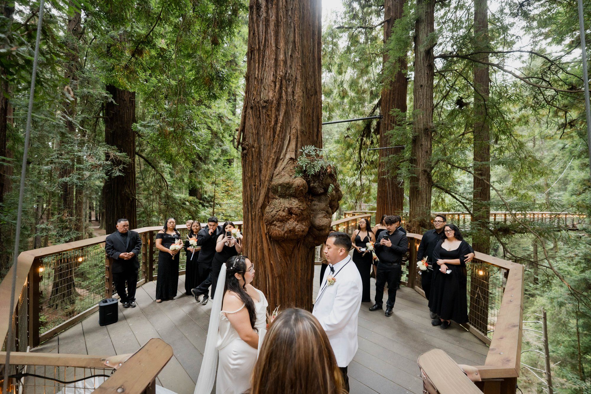 same-sex redwoods elopement at sequoia park zoo skywalk, A Humboldt Redwoods Elopement in the Canopy