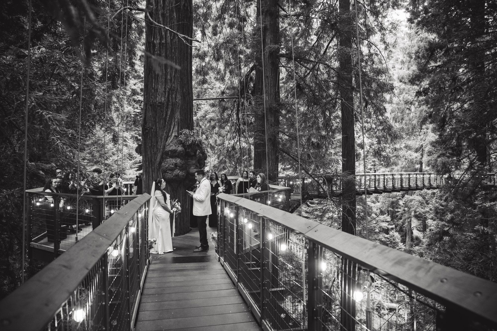 same-sex redwoods elopement at sequoia park zoo skywalk, A Humboldt Redwoods Elopement in the Canopy