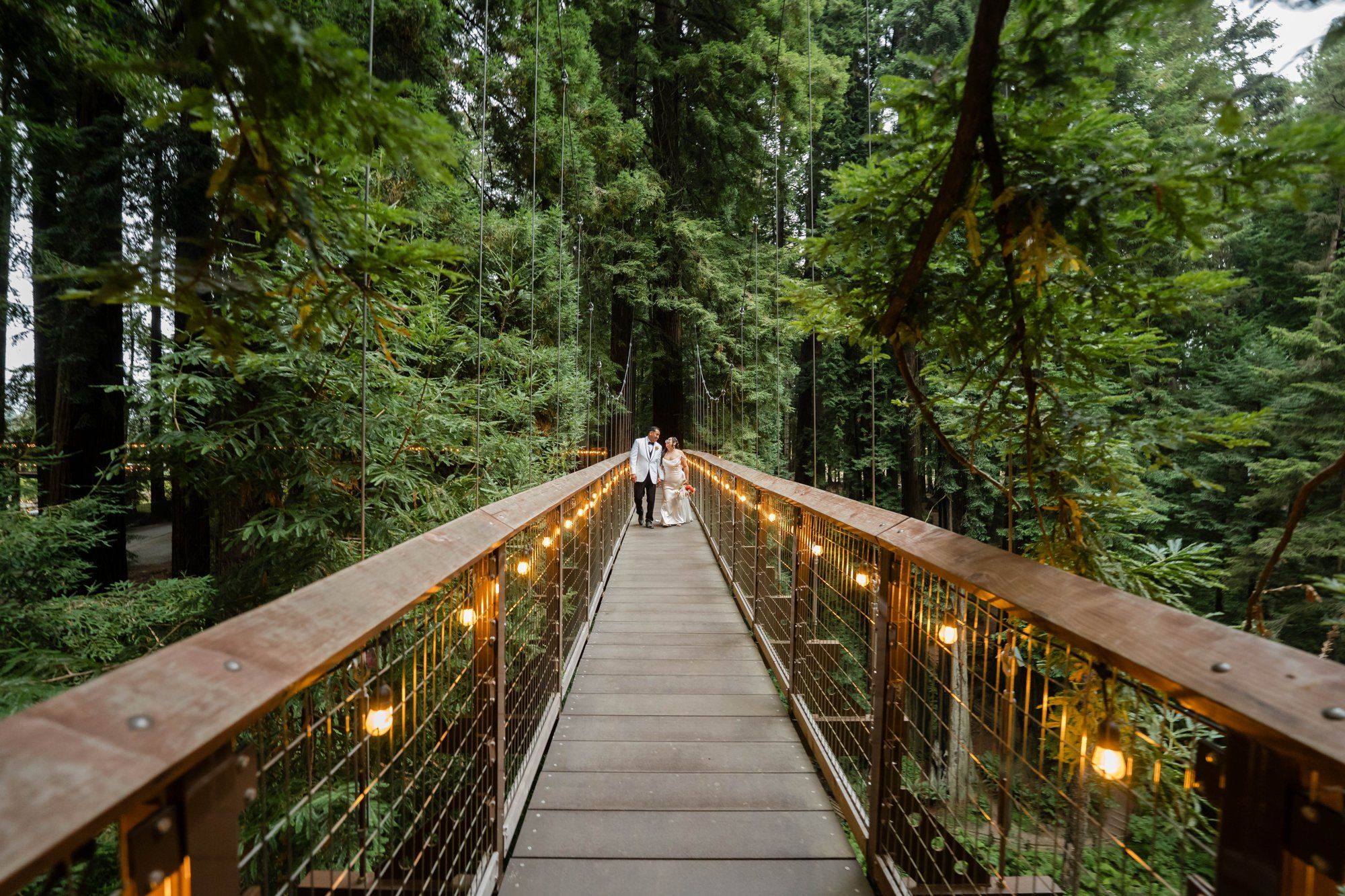 same-sex redwoods elopement at sequoia park zoo skywalk, Toasts, Dances, and an Owl