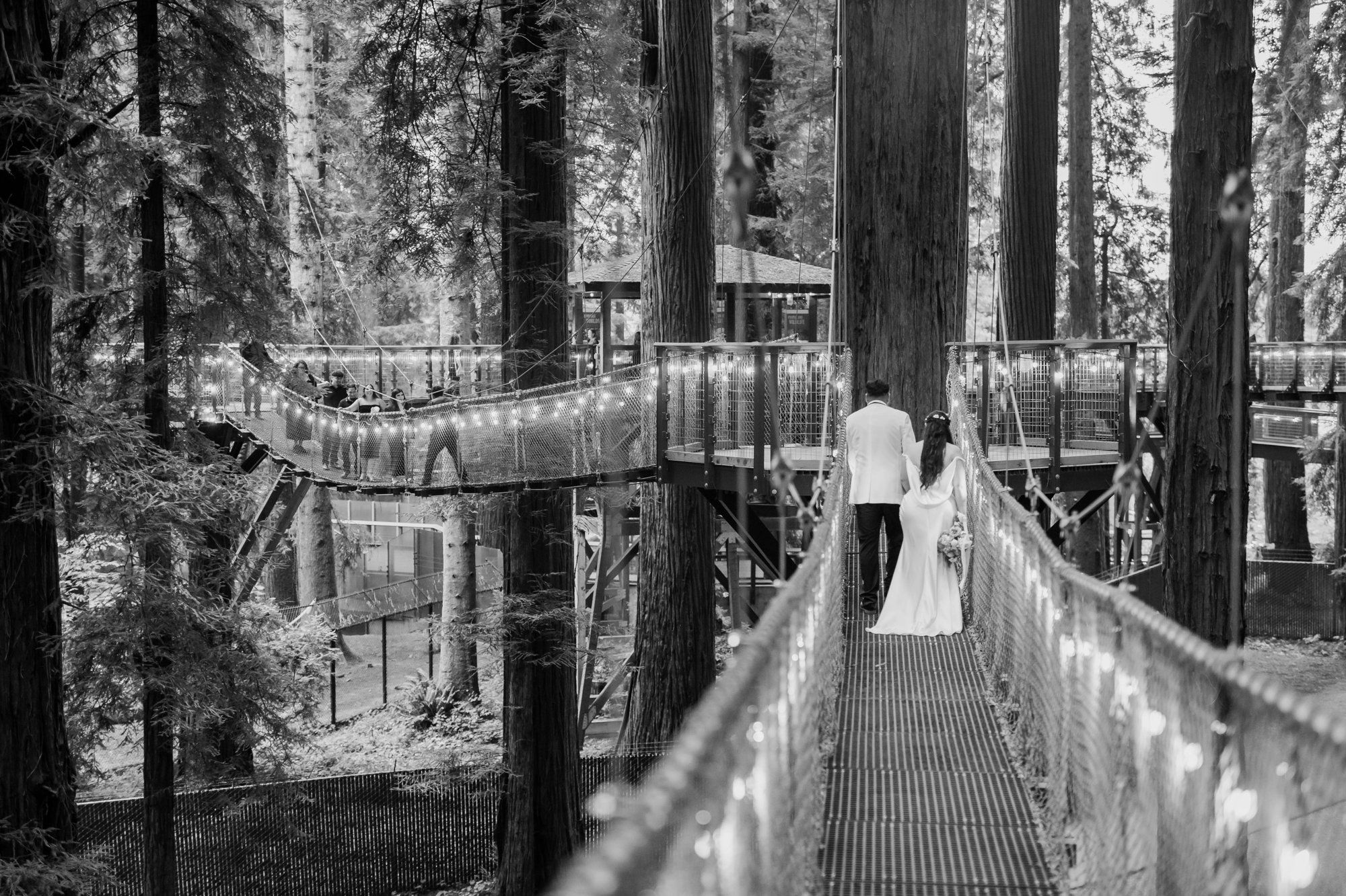 same-sex redwoods elopement at sequoia park zoo skywalk, Toasts, Dances, and an Owl