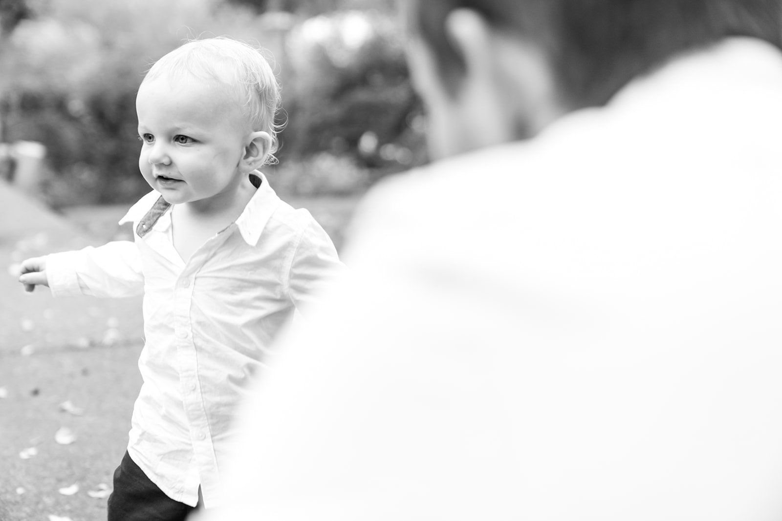 pandemic-era accessible vineyard wedding at cline family cellars, Family on the Vineyard