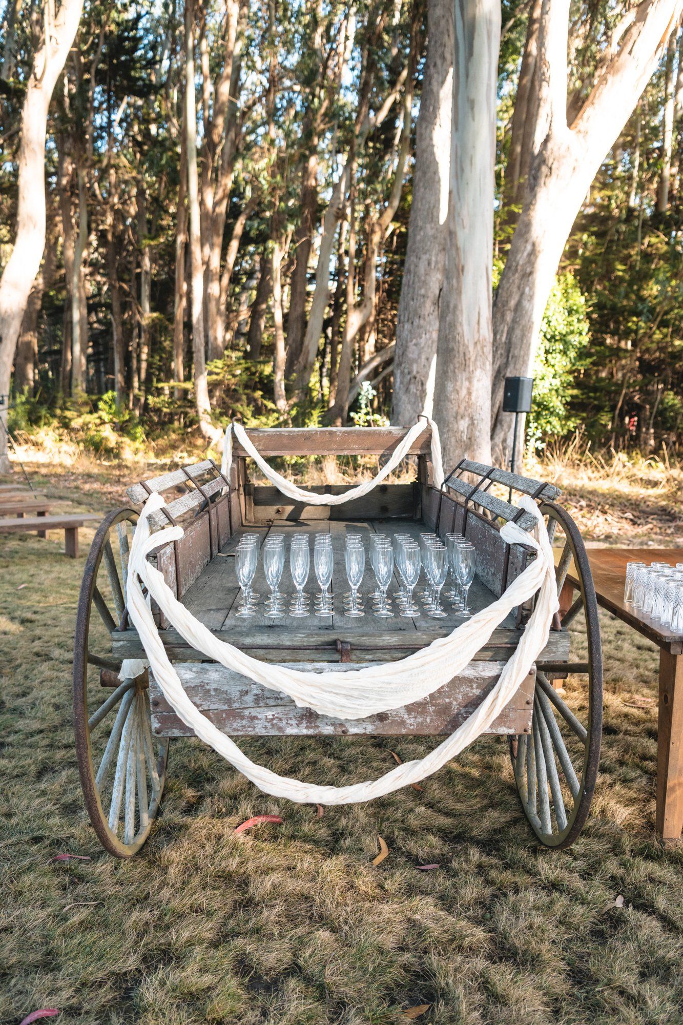 oceanfront ranch micro wedding at spring ranch, Vows in the Mendocino Coastal Meadow