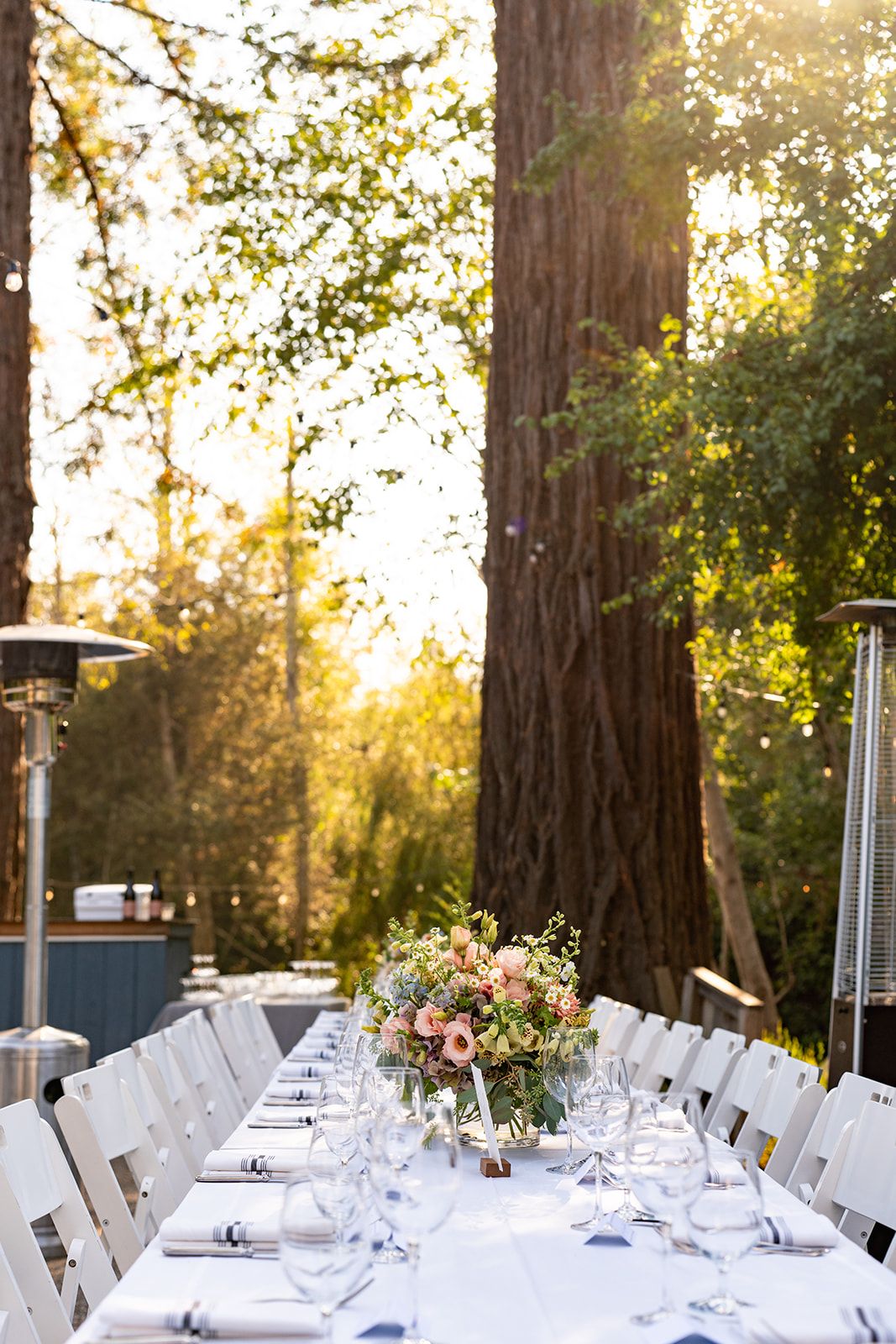 lower-lawn ceremony at olema house, Speeches, First Dance, and the Tavern