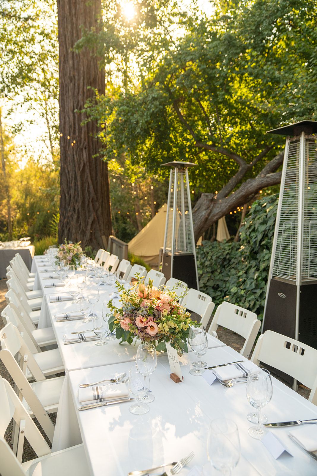 lower-lawn ceremony at olema house, Speeches, First Dance, and the Tavern